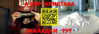 СК Шахты