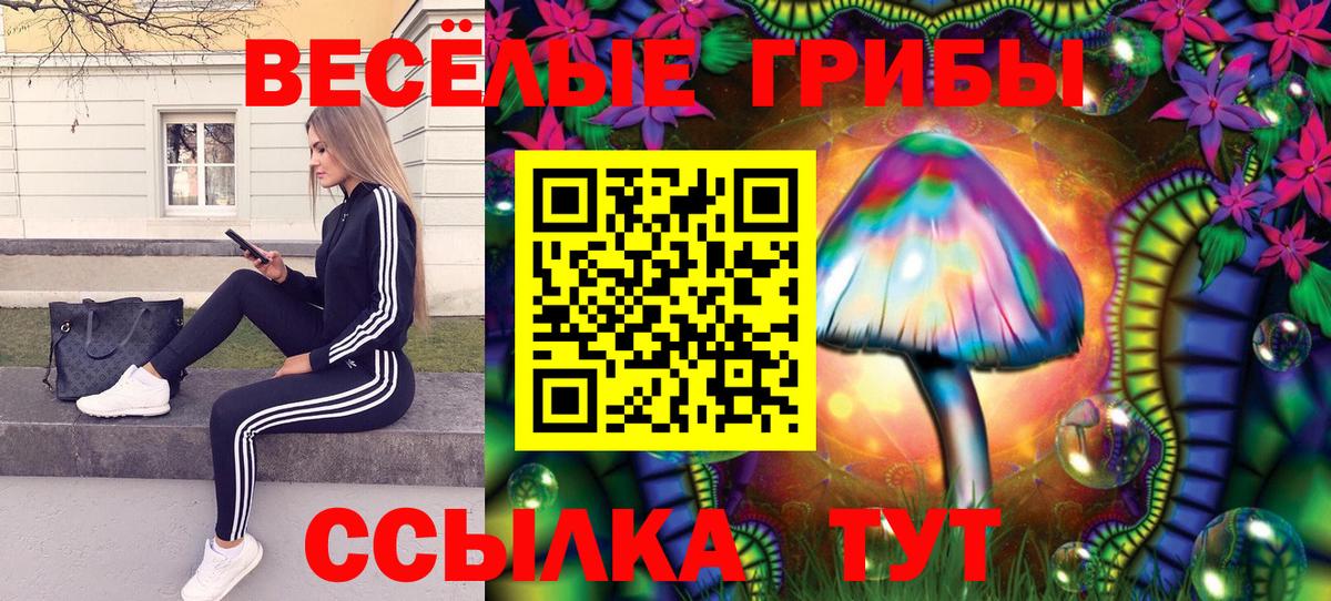 Псилоцибиновые грибы ЛСД Лениногорск