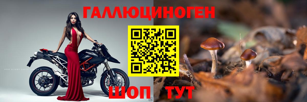 Лениногорск  Галлюциногенные грибы MAGIC MUSHROOMS  Вход с VPN 
